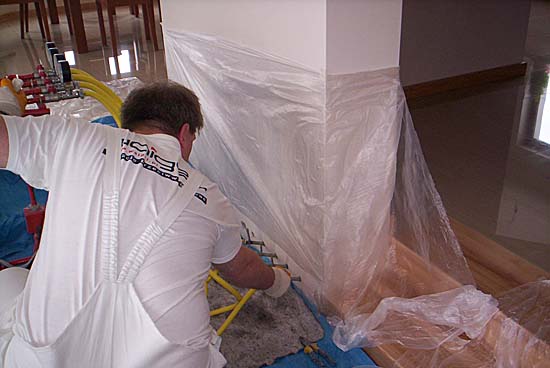 Ekspertyzy mykologiczna a odgrzybianie - Waigel