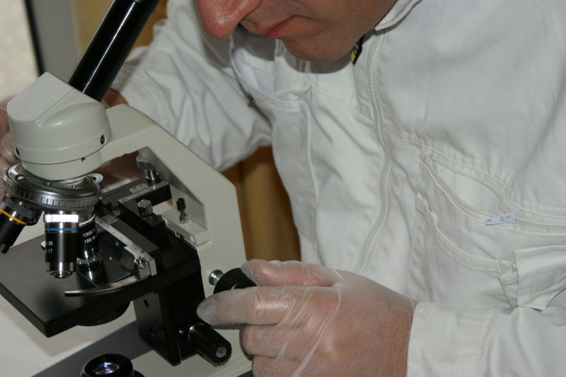 ekspertyza mykologiczna