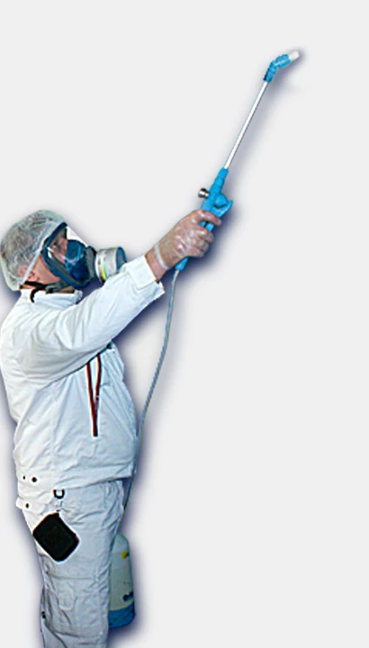 ekspertyzy mykologiczne a odgrzybianie