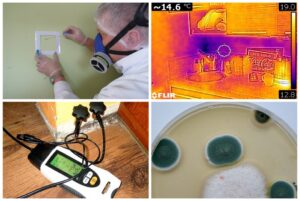 Ocena a ekspertyza mykologiczna