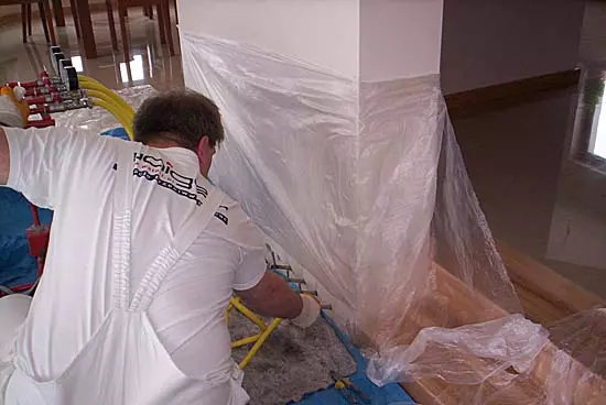 Ekspertyzy mykologiczne - Waigel