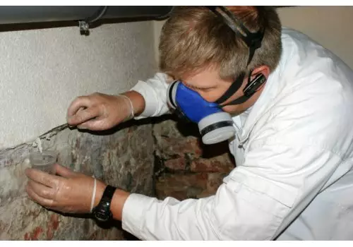 Ocena mykologiczna a ekspertyza mykologiczne. Waigel.pl