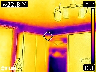 Ekspertyzy mykologiczne - Waigel