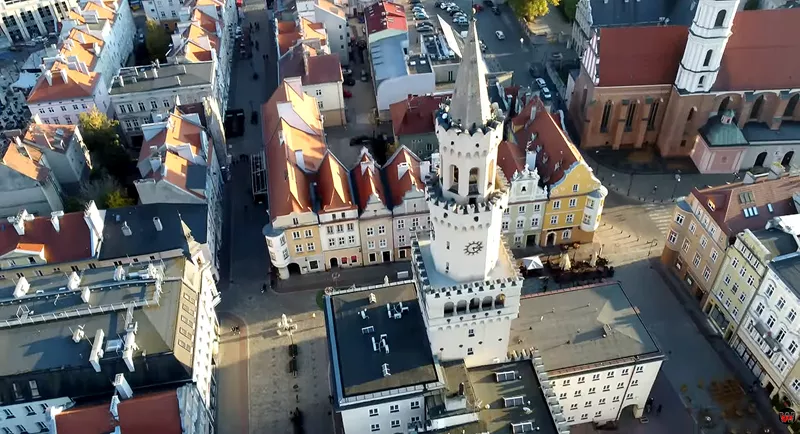 Opole_ekspertyzy_mykologiczne_